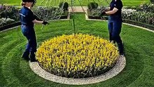 how to make butterfly topiary garden #topiarygrden #diytopiary #backyardgarden #satisfying