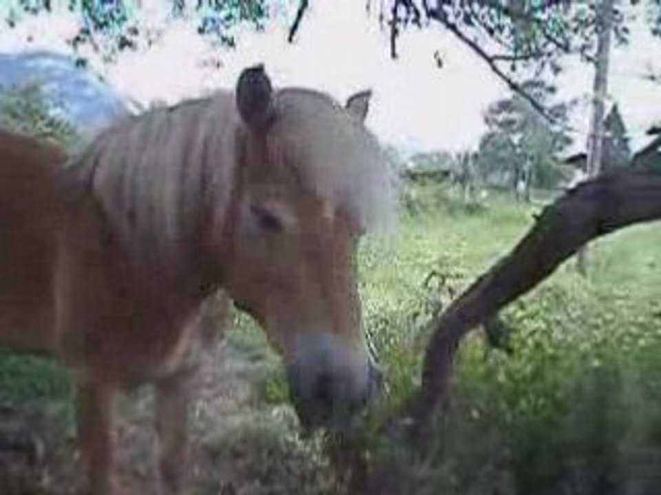 SansTitre_0001