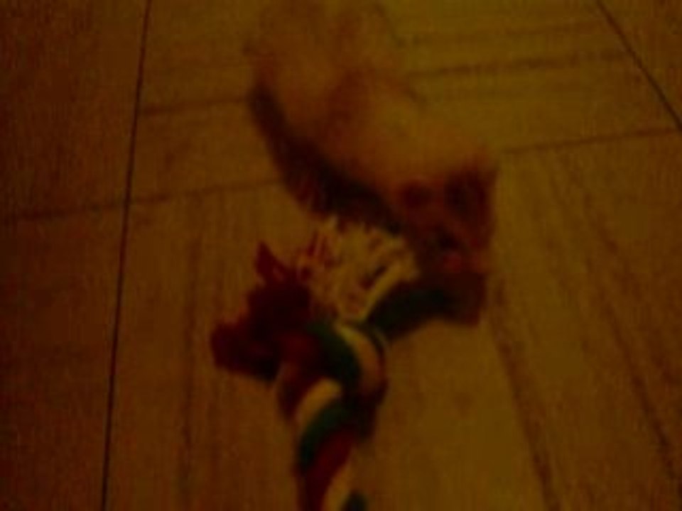 betameche avant l'operation avec ca soeur mu