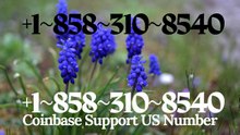 ≋[FULL GUIDE] Coinbase® TOLL FREE© SUPPoRT℗ Phone NuMber (OfficiAl)