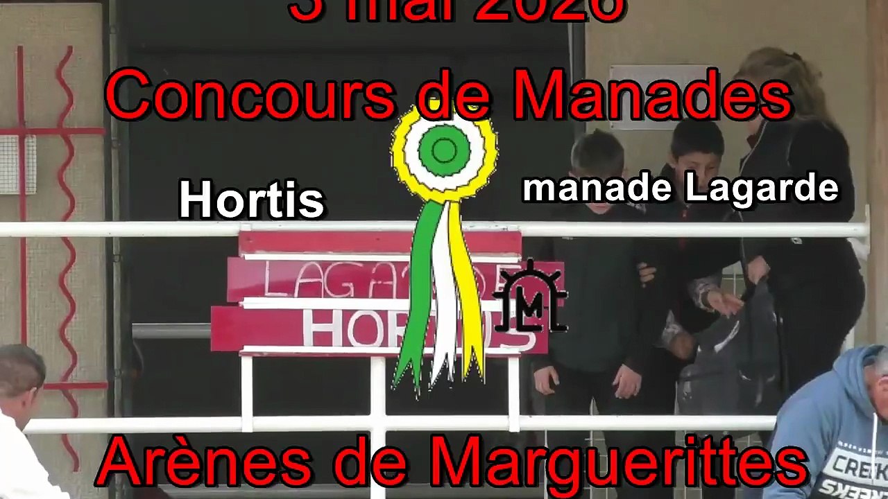 2026 05 03 Hortis