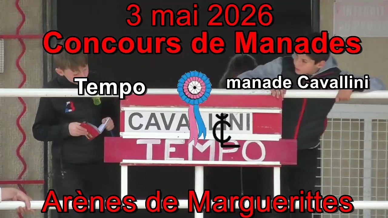 2026 05 03 Tempo