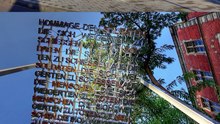 Kriegsdienstverweigerung 🎗️ Menschenrecht oder Verbrechen_