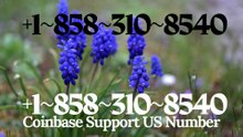 【Question】【Coinbase® ||Help Desk Wallet SuppoRt||™ — Toll-Free Numbers & Support Options (OfficiAl)