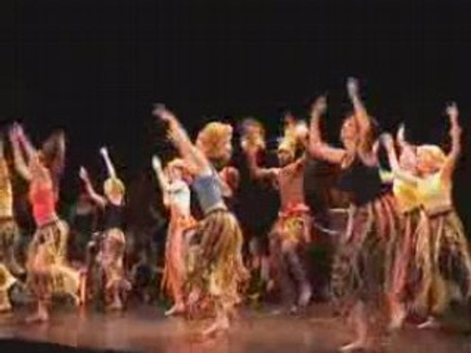 2008.06.12 Spectacle Danse Aficaine
