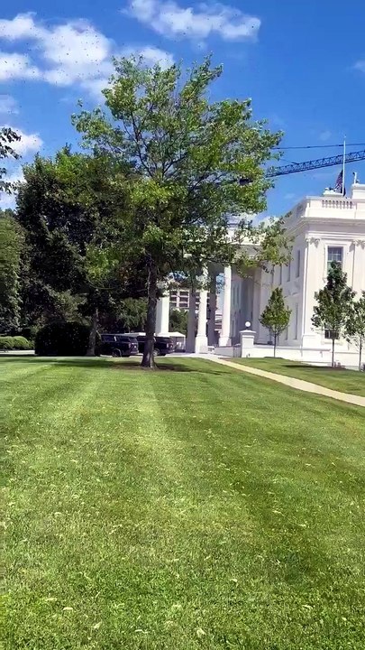 REGARDEZ : 🐝 Un immense essaim d'abeilles s'abat sur les pelouses de la Maison Blanche