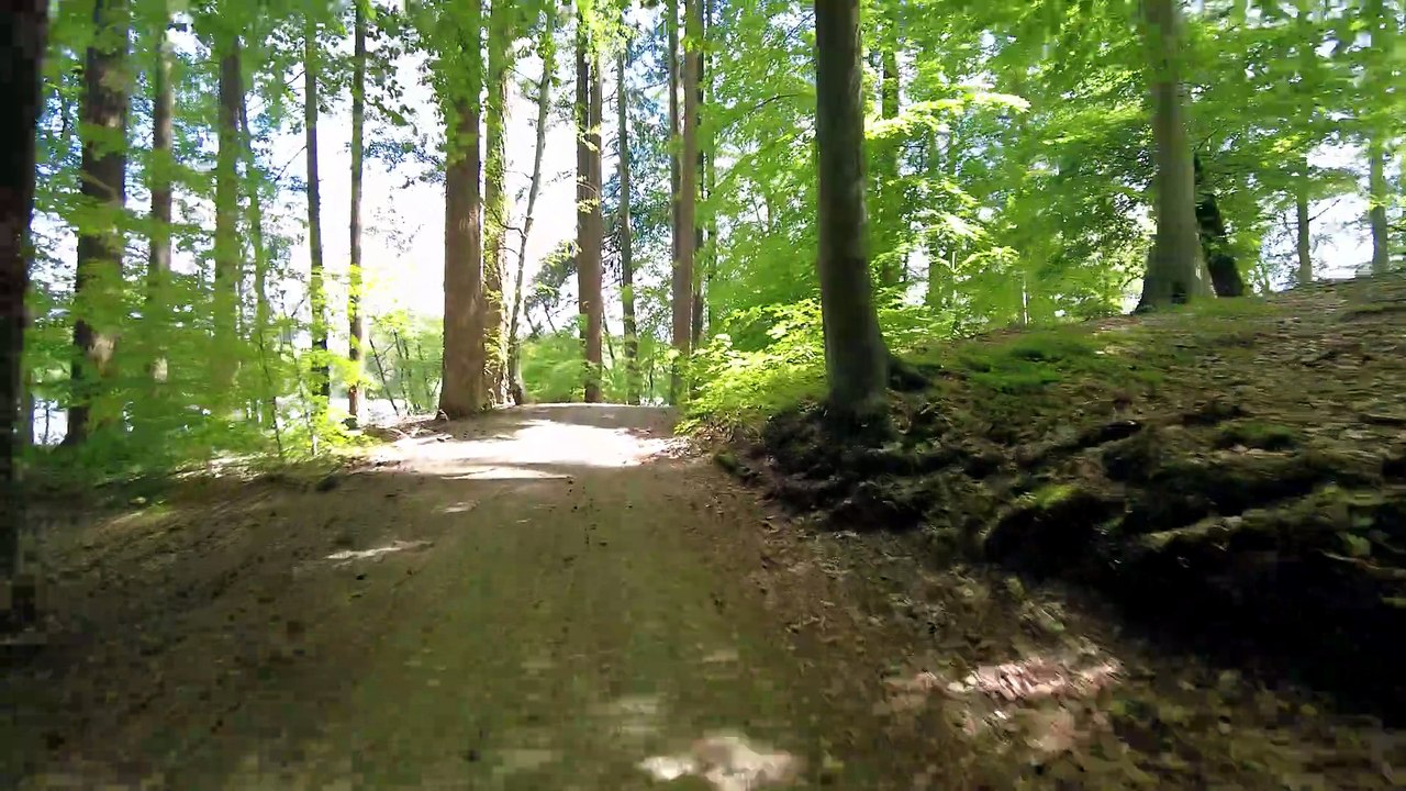 Radtour zum Drüsensee (Teil 1) – Natur & Idylle in 4K