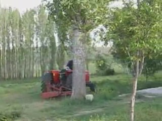 MasseyFerguson 398 Bahçeyi Biçiyor
