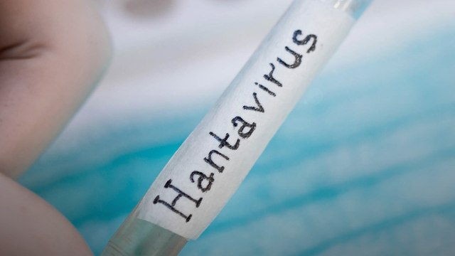 Hantavirus Alert: इंसान के शरीर में कितने दिन जिंदा रहता है Virus? WHO भी परेशान