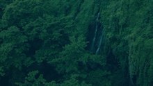 PANDORA : Les plus belles cascades de la Réunion | Voyage Cinématique 4K