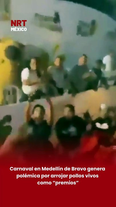 🐥⚠️ Polémica en Medellín de Bravo, Veracruz, luego de que durante el Carnaval de Paso del Toro se reportara el lanzamiento de p0llos v1vos como parte del festejo. Activistas piden sanciones por presunta cru3ldad an1mal.
