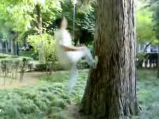 Sampler javi y repullo