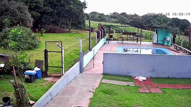 Câmera de segurança registra batida frontal entre caminhões que deixou quatro mortos em Londrina