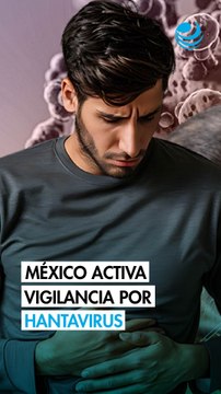 México activa vigilancia por hantavirus: cronología del brote que mantiene en alerta a la OMS