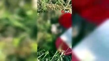 Mezarlıkta dehşete düşüren görüntü! Bidondaki kutulardan 21 cenin çıktı
