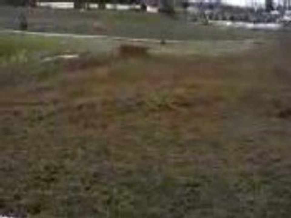 V06-04-08_14.53