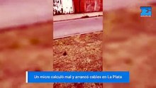 Fuerte reclamo vecinal en Altos de San Lorenzo: un micro arrancó cables y hay peligro en el barrio
