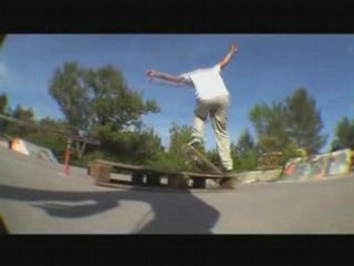 Session beaulieu cat-skateboard