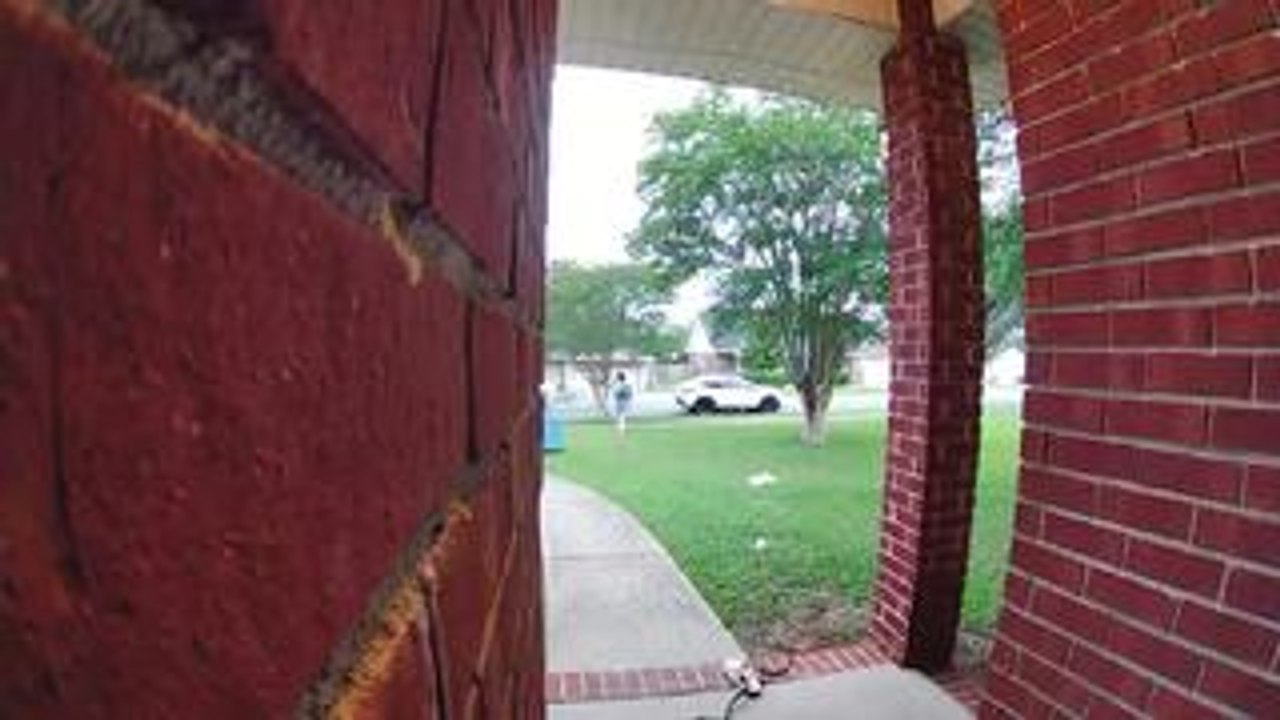 Snake Suddenly Falls From Doorway and Scares Woman