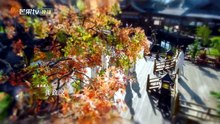 祥序记未删减完整版-1线上看 - 独播库_8