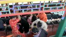 HOA KHÔI VÀ CẢNH KHUYỂN - Tập 01 (Lồng Tiếng) | Phim Hành Động Cảnh Sát Hình Sự Hay Nhất [Full Movie]