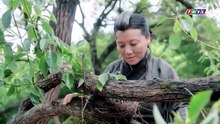 Tập 25 - Thái Tử Phi Giá Đáo (Lồng tiếng)_DV Nghệ Điềm, Trần Tư Vũ, Triệu Dịch Khâm, Lý Khải Hinh