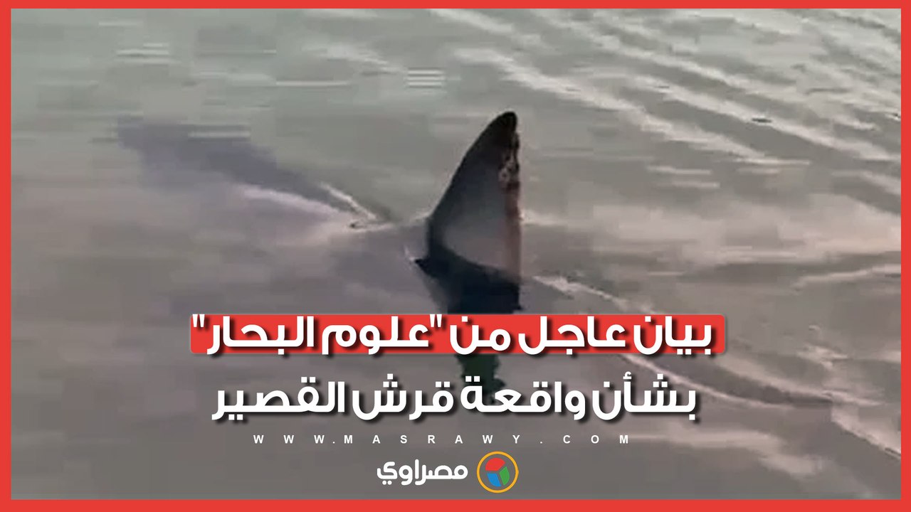 "سلوك غير علمي".. "علوم البحار" تنتقد طريقة اصطياد قرش الماكو في البحر الأحمر