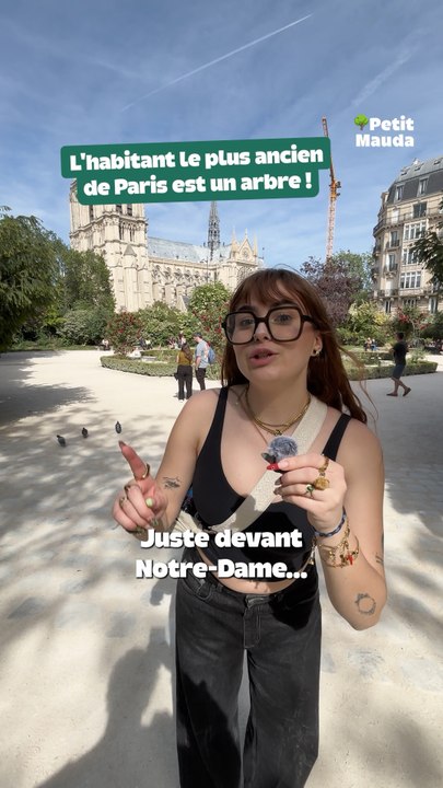 🌳 Ce monument parisien a traversé les siècles… 🎁 Nos bons plans à retrouver en bio ! ❤️‍🔥👉🏻 Et abonne-toi a Petit Mauda pour plus d’inspiration ! 🌳©️ Crédit : @petitmauda