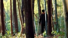 【短剧合集】 跑山：系统开道我守山为王