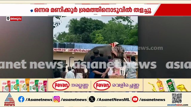 മലപ്പുറം അങ്ങാടിപ്പുറം ഏറാന്തോട് ഉത്സവത്തിനിടെ ആന ഇടഞ്ഞു