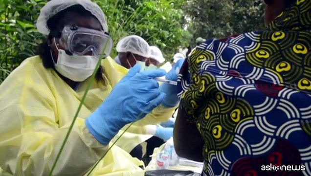 Virus ebola in Africa, Oms: emergenza sanitaria internazionale