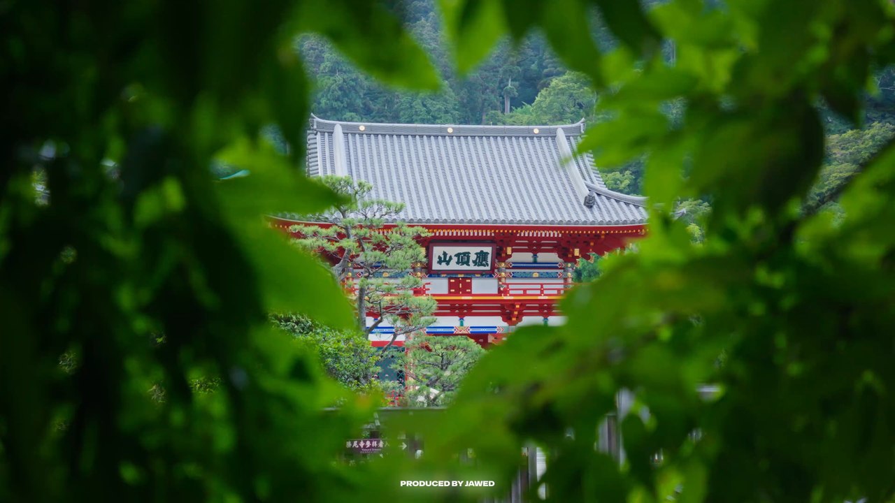 Voilà à quoi ressemble 3 semaines au Japon 🇯🇵