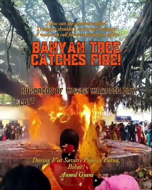 Banyan Tree catches Fire during Vat Savitri Puja in Patna, Bihar! How can we celebrate safely? Tradition shouldn't cost us our heritage! A wake-up call for environmental safety!
