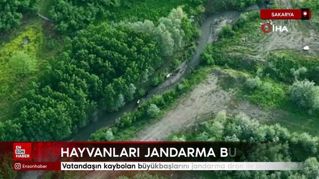 Muğla Fethiye'de orman yangını