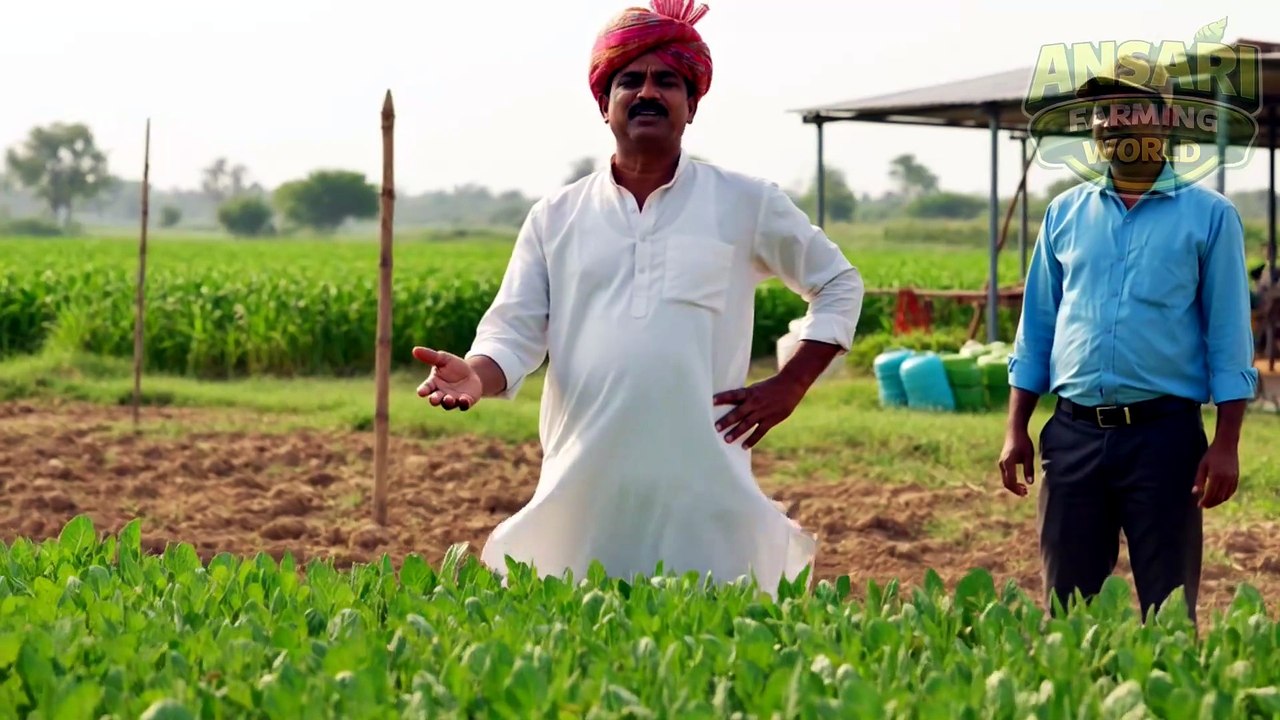 क्या आप जो सब्ज़ी खा रहे हैं, वो सच में Safe है ? 😨 | Chemical Vegetables Truth Exposed #vegetables