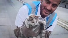 Metrobüs hattına giren iki yavru kedi İETT görevlilerince kurtarıldı