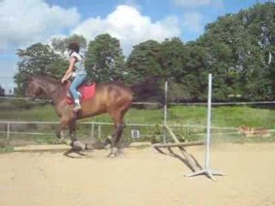 Nyamoko saut obstacle