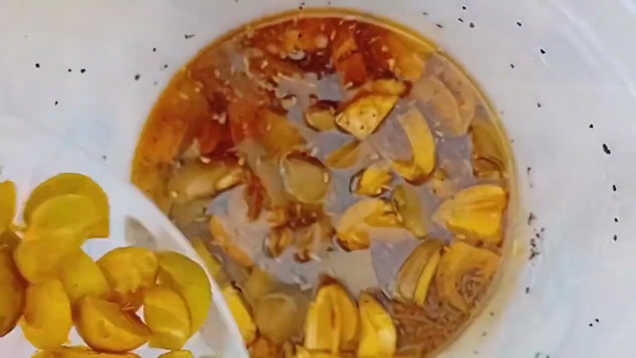 Spicy 4 in 1 Achar Vlog