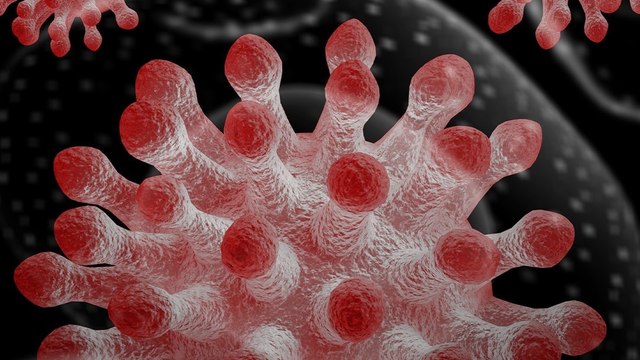 Hantavirus Vs Coronavirus: कैसे फैलता है ये Virus? जानिए इंसानों के लिए कितना खतरनाक