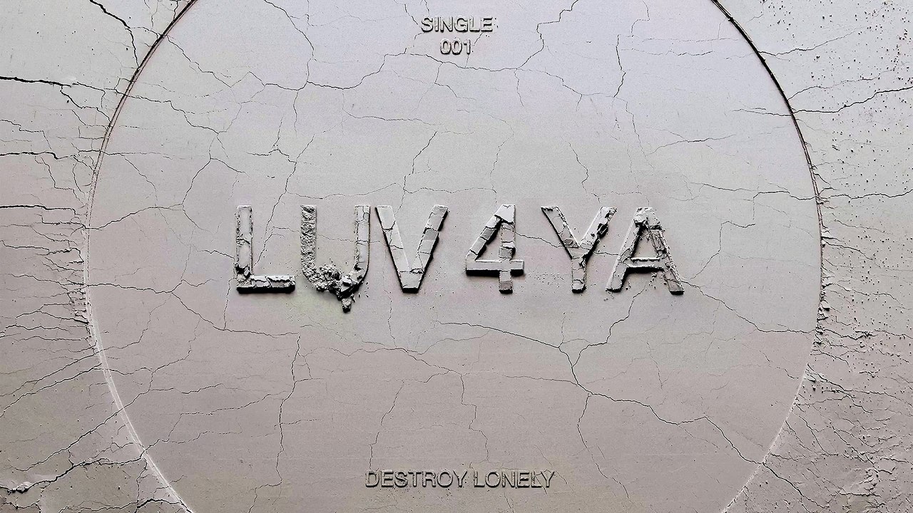 Destroy Lonely - LUV 4 YA (Official Audio)
