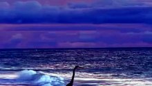 Peaceful Nature Ambience _ أجواء الطبيعة الهادئة _ Ambiance Nature Paisible _ Atmosfera Naturale Pacifica
