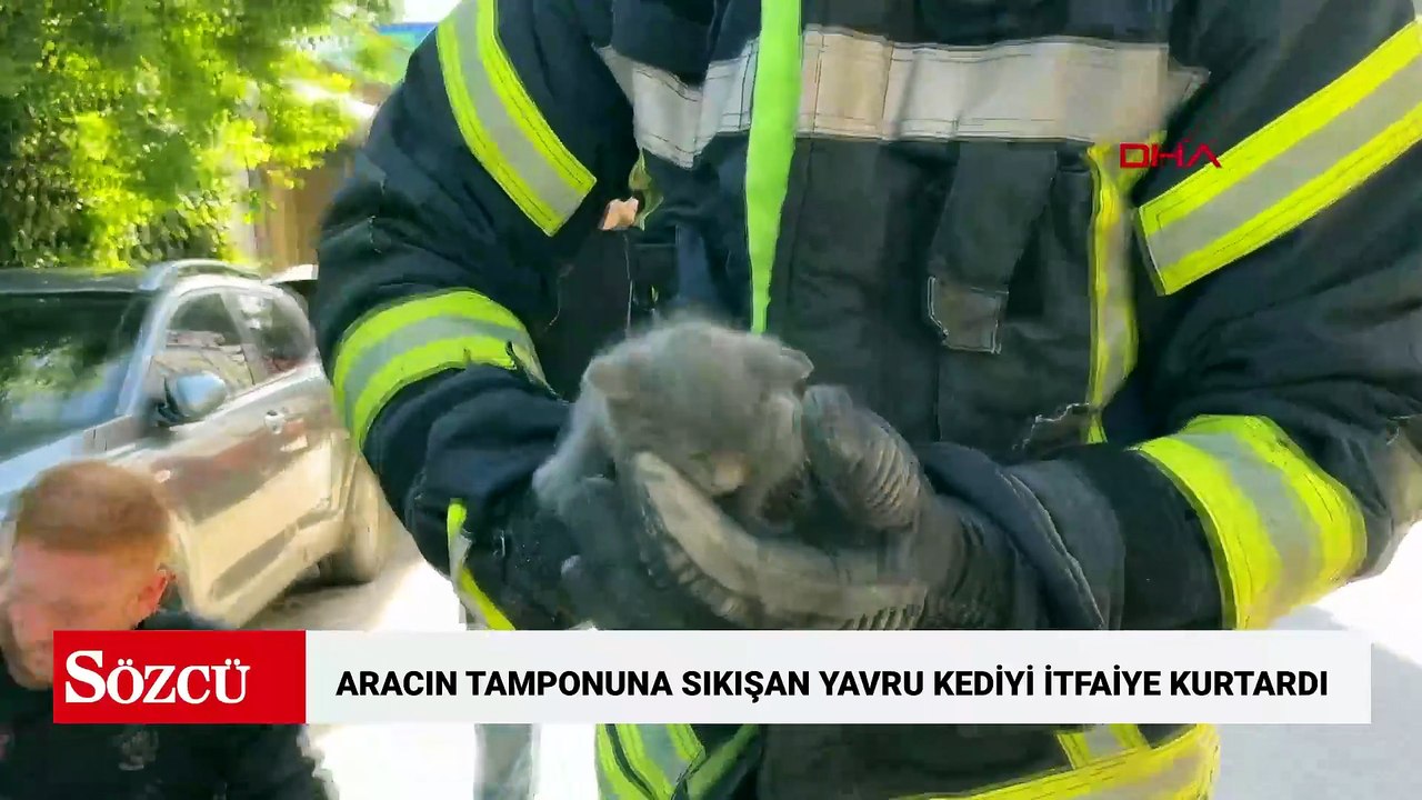 Aracın tamponuna sıkışan yavru kediyi itfaiye kurtardı