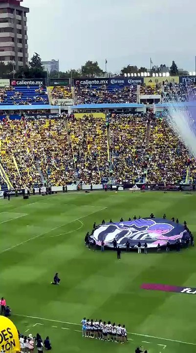 Todo listo para la gran final