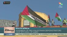Hundreds of pro-Palestinian demonstratorsmark 78th anniv. of Nabka