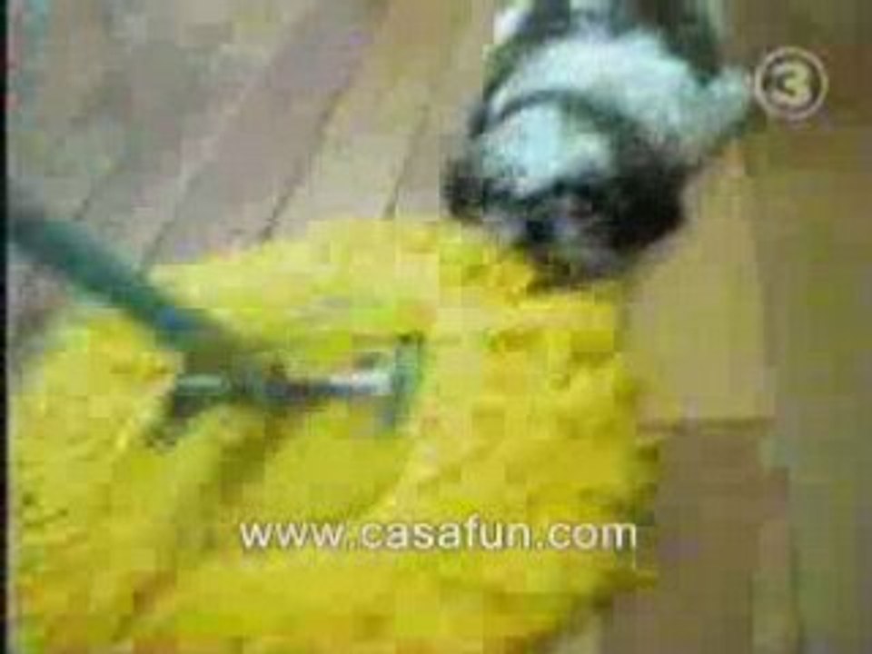 Chien delire