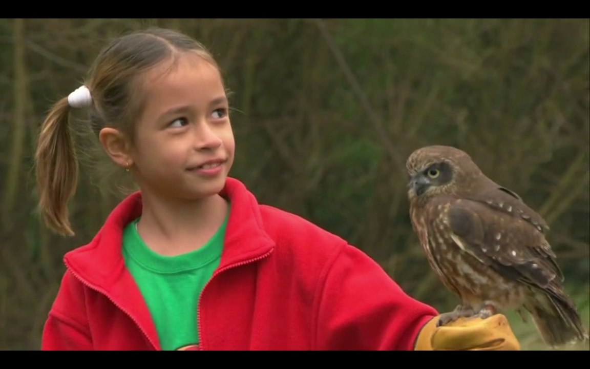 Cbeebies Nina And The Neurons Go Eco Flying High 1x8...mp4