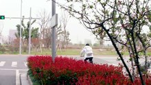 NỮ NHÂN CỦA TÔI LÀ QUYỀN SƯ - Tập 20 | Phim Ngôn Tình Trung Quốc Hay Nhất | GIẢ NÃI LƯỢNG & VƯƠNG ÂU [Full Movie]