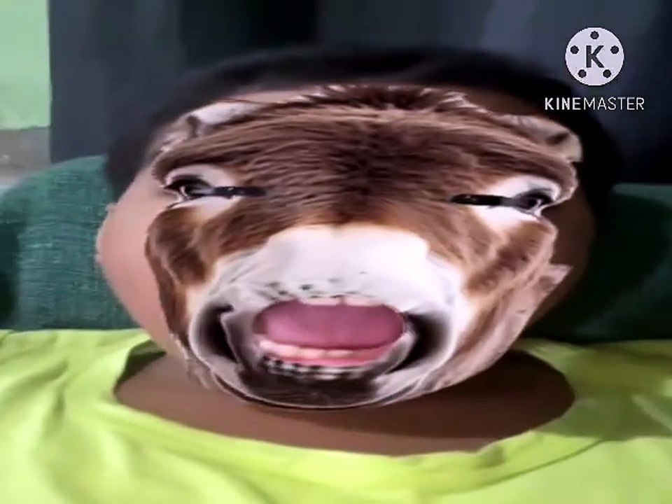 Mon Âne