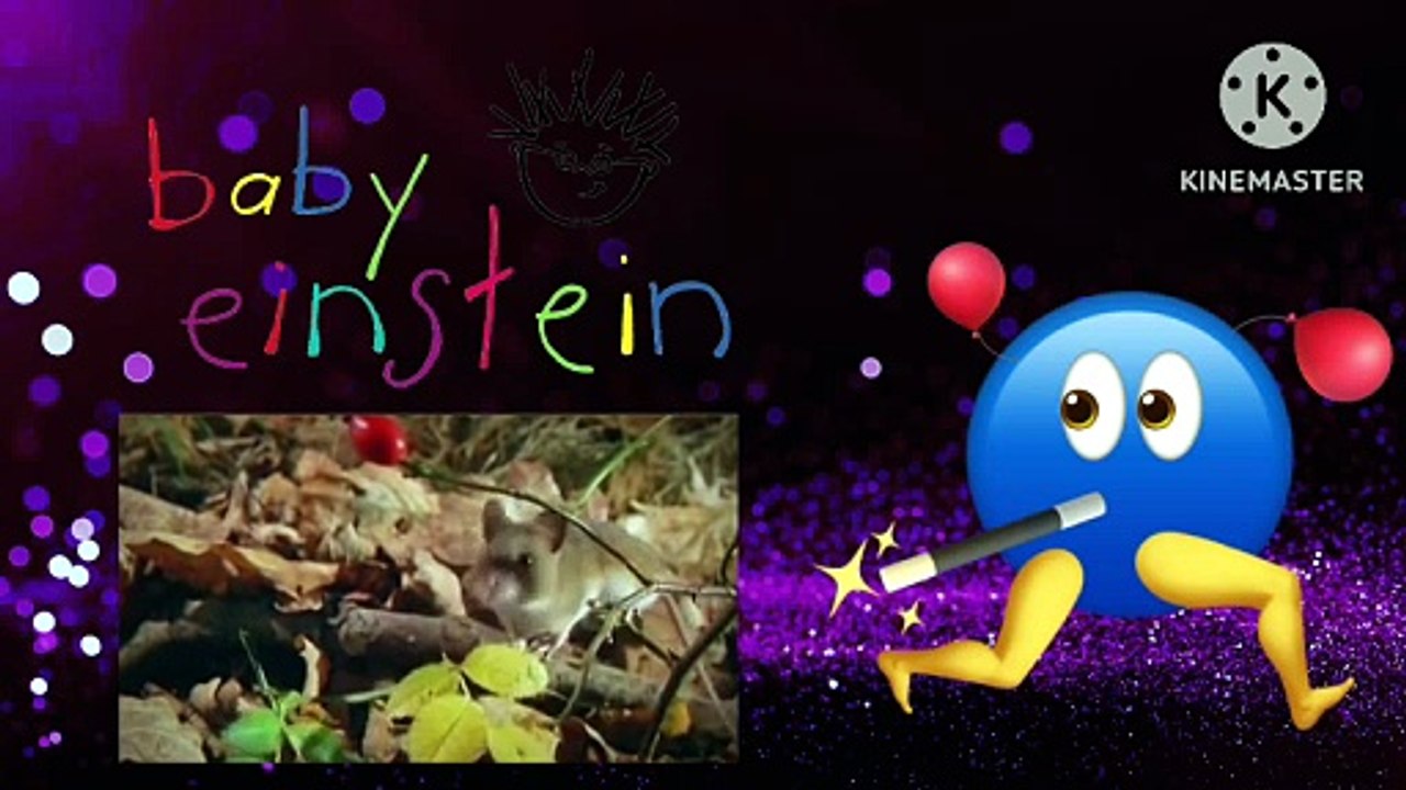 Baby Einstein 15BE BABY DOLITTLE NEIGHBORHOOD ANIMALS