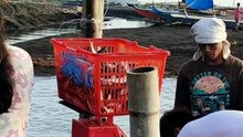Mipalit ug isdang malangsi